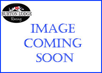 Image coming soon